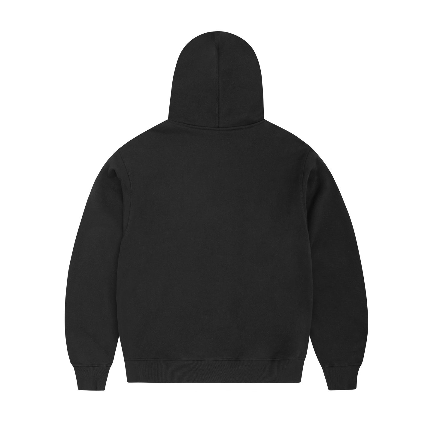 ARCH SHIELD ZIP HOODIE [BLACK]