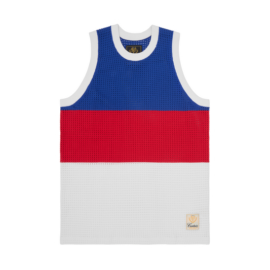 VICE MESH KNIT VEST [MULTI]