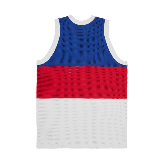 VICE MESH KNIT VEST [MULTI]